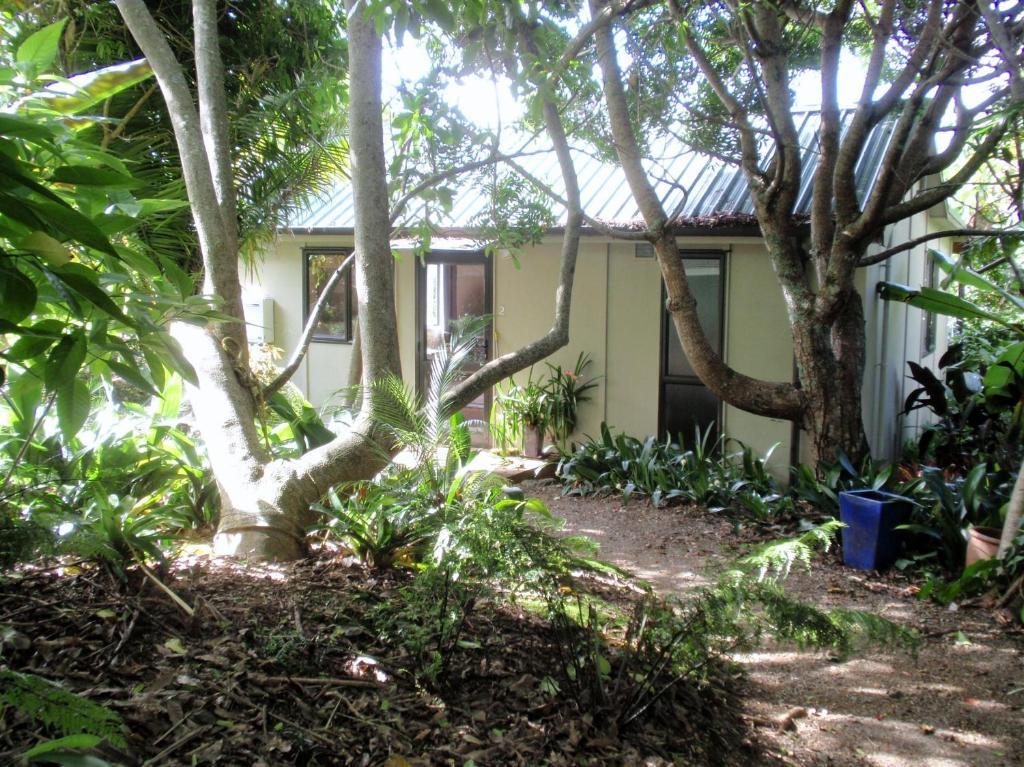 Wharepuke Subtropical Accommodation Kerikeri Room photo