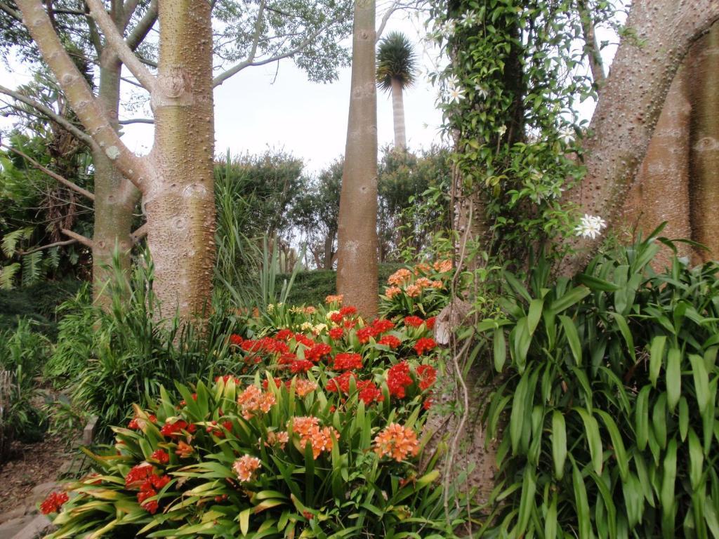 Wharepuke Subtropical Accommodation Kerikeri Exterior photo