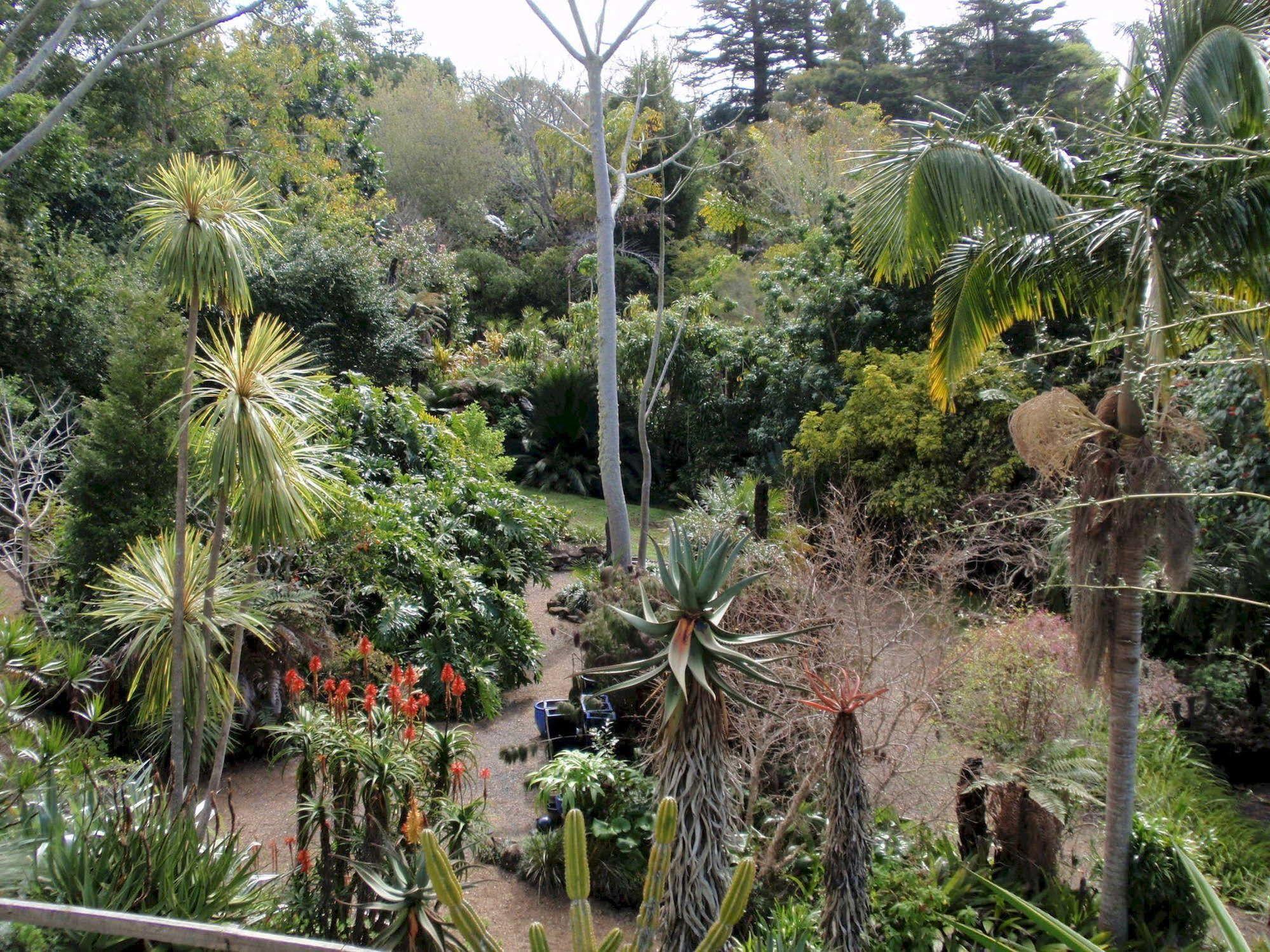 Wharepuke Subtropical Accommodation Kerikeri Exterior photo