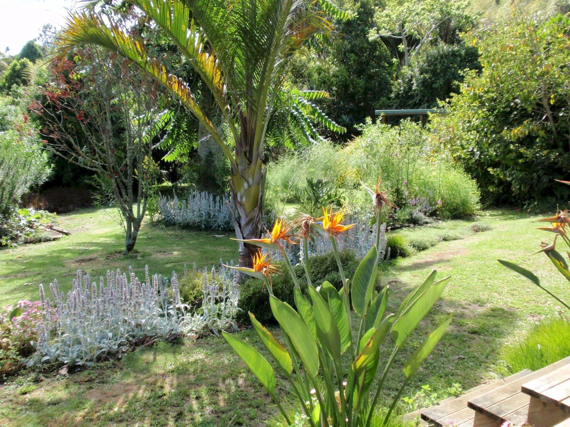 Wharepuke Subtropical Accommodation Kerikeri Exterior photo