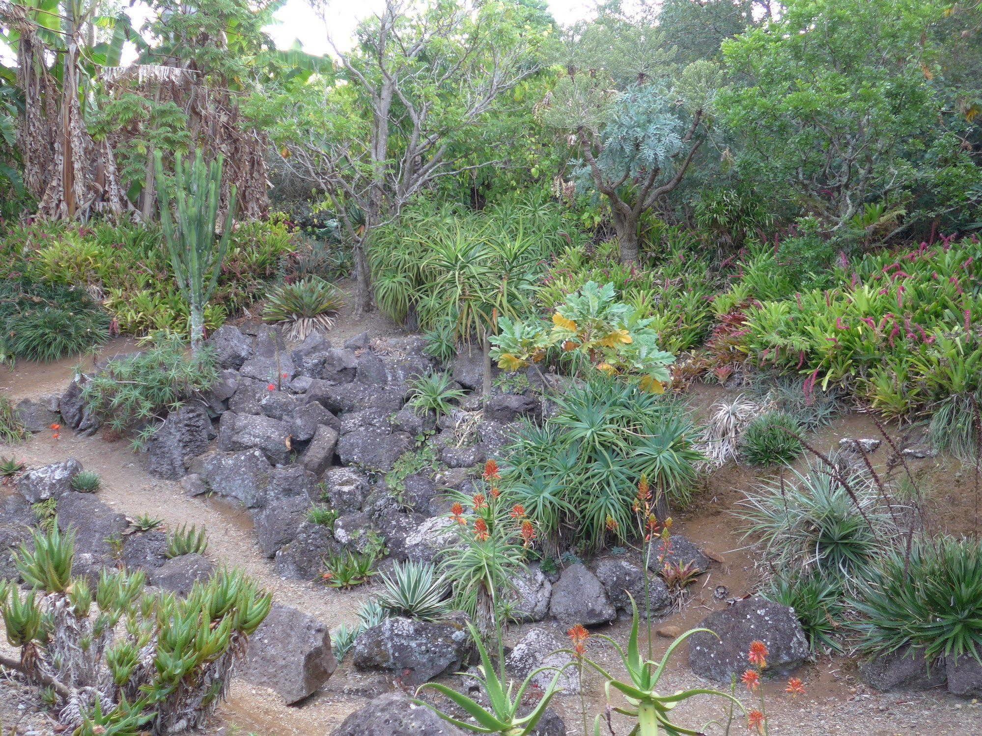 Wharepuke Subtropical Accommodation Kerikeri Exterior photo