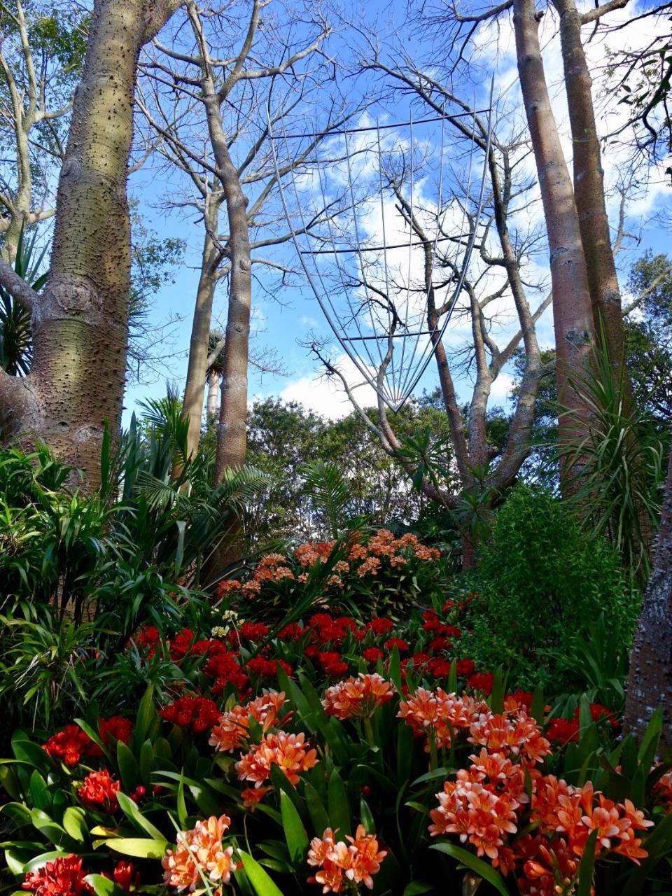 Wharepuke Subtropical Accommodation Kerikeri Exterior photo