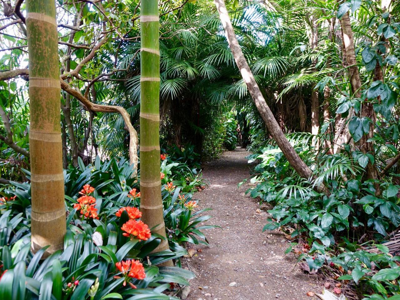 Wharepuke Subtropical Accommodation Kerikeri Exterior photo